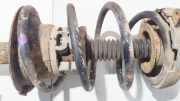 Fahrwerksfeder vorne Renault Megane, I 1995.11 - 1999.02 Gebraucht,