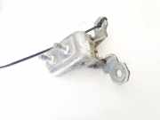 T?rscharnier Vorne Renault Espace, IV 2002.11 - 2014.12 Gebraucht,