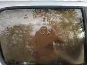 Seitenscheibe - Hinten Linke Toyota Yaris Verso, 1999.11 - 2005.09 Gebraucht,