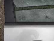 Zierleiste Leiste - Vorne Rechts Ford C-MAX, 2003.01 - 2007.06 Gebraucht,