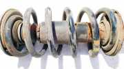 Fahrwerksfeder vorne Volkswagen Passat, B5+ 2000.11 - 2005.05 Gebraucht, AVB