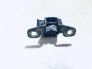 T?rscharnier Hinten Dacia Logan, I 2004.09 - 2009.03 Gebraucht,