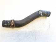 Kühlerschlauch Nissan Leaf, I 2010 - 2017.12 Gebraucht,