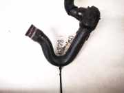 K?hlerschlauch Alfa-Romeo 166 1998.09 - 2003.10 Gebraucht,