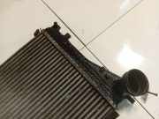 Ladeluftkühler Volkswagen Passat, CC I 2008.01 - 2011.06 Gebraucht, BZB