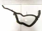 K?hlerschlauch Renault Scenic, III 2009.02 - 2013.06 Gebraucht,