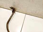 Halteband Kraftstoffbehälter Citroen Jumper, II 2014.01 - 2016.12 facelift Gebraucht,