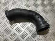 Schlauch für Luftversorgung Renault Laguna, I 1994.01 - 2001.03 Gebraucht,