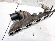 Ansaugkrümmer Hyundai Trajet, 2000.03 - 2008.07 Gebraucht,