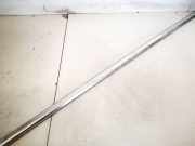 Zierleiste Leiste - Hinten Rechts Honda Accord, 2005.09 - 2008.05 facelift Gebraucht,