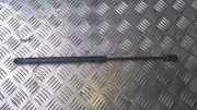 Gasdruckfeder Kofferraum Renault Megane, II 2002.11 - 2006.06 8200051750,