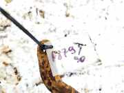 Stabilisator Vorne Mazda 6, 2002.06 - 2007.08 Gebraucht,