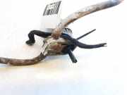 Waschwasserpumpe Scheibenreinigung Fiat Doblo, 2005.10 - 2009.08 20005327, d1841