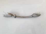 Haltegriff Haltegriff Verdeckgriff - Hinten Linke Citroen Xsara Picasso, I 1999.12 - 2004.05 9616355277,