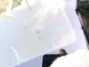 Seitenfenster Seitenscheibe - Hinten Rechts Opel Omega, B 1999.09 - 2003.07 facelift Gebraucht ,