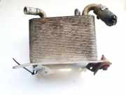 Ölkühler Volkswagen Phaeton, 2002.04 - 2006 Gebraucht, AYT