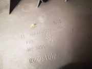 Schwellerverkleidung - Hinten Rechts Citroen C8, I 2002.07 - 2008.06 1483331077,