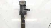 Z?ndspule Jaguar X-Type, 2001.06 - 2007.11 1x4312029ab,1x43-12029-ab 099700-0620