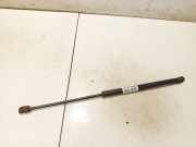 Gasdruckfeder Kofferraum Volkswagen Golf, III 1993.07 - 1999.04 gs601113300, ABS