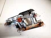 Lampenträger Heckleuchte - Hinten Citroen Xsara, I 1997.04 - 2000.09 2534,