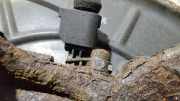 Sensor f?r ABS - Vorne Rechts Skoda Octavia, II 2004.02 - 2009.03 Gebraucht,