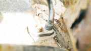 Sensor für ABS - Vorne Rechts MINI One, 2006.06 - 2013.06 Gebraucht,