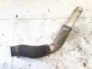 Intercooler Schlauch Hyundai Trajet, 2000.03 - 2008.07 Gebraucht,