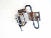 T?rscharnier Vorne Volkswagen Golf, IV 1997.08 - 2003.10 Gebraucht, BCB