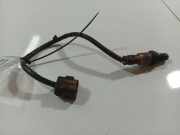 Lambdasonde -4 Drähte WEISS WEISS SCHWARZ GRAU SsangYong Actyon, 2005.01 - 2011.11 40514930023, 405149 300 2 3 A9961A SsangYong Acty0n 2011 A9961ASsangYongActy0n2011