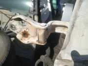 T?rscharnier Vorne Iveco Daily, 2006.01 - 2011.06 Gebraucht,