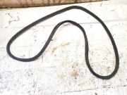 Türdichtung - Hinten Rechts Nissan Leaf, I 2010 - 2017.12 Gebraucht,