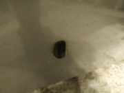 Waschwasserd?se Scheibenreinigung Toyota Yaris, I (XP10) 2003.03 - 2005.09 facelift Gebraucht,