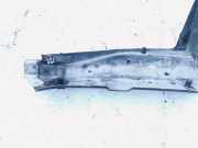 Schloßträger Audi 80, B3 1986.06 - 1991.09 Gebraucht ,