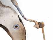 Stabilisator Vorne Volvo S80, 1998.05 - 2004.06 Gebraucht,