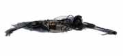 Lenkgetriebe Volkswagen Passat, B6 2005.08 - 2010.11 LHD , 7805277222 0273010039 1k1909144k BWV