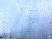 Seitenscheibe - Vorne Linke Mazda 323F, 1998.09 - 2004.05 Gebraucht,