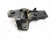 Lampenträger Heckleuchte - Hinten Volkswagen Touran, 2003.01 - 2006.10 1t09445257d,