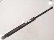 Gasdruckfeder Kofferraum Peugeot 207, 2006.02 - 2009.06 Gebraucht,