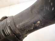 Schlauch f?r Luftversorgung Renault Scenic, II 2003.06 - 2006.06 8200201614,