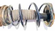 Fahrwerksfeder vorne Toyota Yaris Verso, 1999.11 - 2005.09 Gebraucht,
