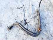 Tankeinfüllstutzen Tankrohr Kraftstoffrohr Toyota Corolla Verso, III 2004.05 - 2007 Gebraucht,