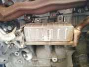 Abgaskühler AGR-Kühler Toyota Avensis, III 2009.02 - 2012.06 256010r020,13064130000 003651