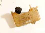 Ausgleichsbehälter Renault Scenic, II 2003.06 - 2006.06 8200262036,