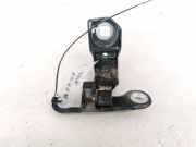 Türscharnier Vorne Opel Signum, 2003.05 - 2008.06 Gebraucht,