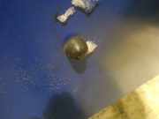 Waschwasserdüse Scheibenreinigung Peugeot 206, 2002.07 - 2009.01 facelift Gebraucht,