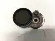 Spannrolle Renault Clio, 2009.06 - 2012.11 facelift 117501083R,