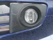 Kühlergrill - Vorne Linke Nissan Micra, K12 2003.01 - 2007.06 Gebraucht,