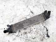 Ladeluftkühler Ford C-MAX, 2003.01 - 2007.06 8ml376765031, 8ml376765-031