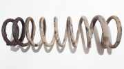 Fahrwerksfeder Hinterachse Honda Accord, 1993.10 - 1997.12 Gebraucht,