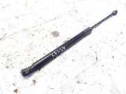 Gasdruckfeder Kofferraum Volkswagen Golf Plus, 2005.01 - 2008.05 30413ae17, BLF